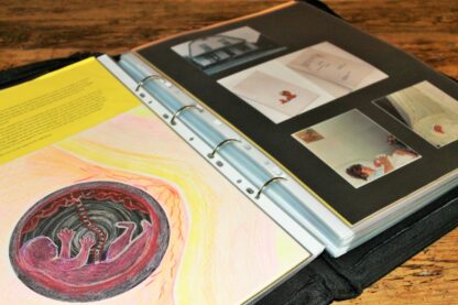 Online les De Tekenschool start autobiografie; 'de rode draad' en 'de schatkaart'. - Afbeelding 2