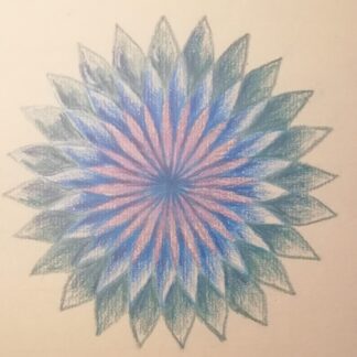 Online les De Tekenschool geometrie met passer