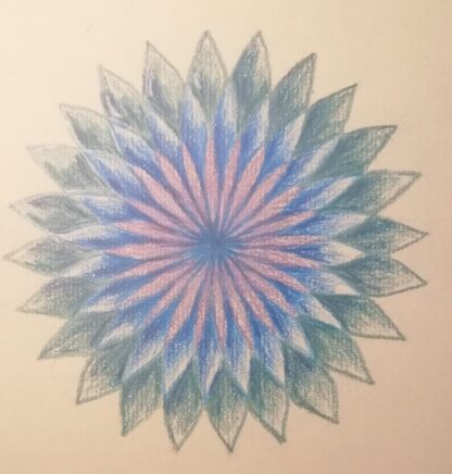 Online les De Tekenschool geometrie met passer